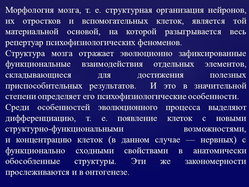 Морфология мозга, т. е. структурная организация нейронов, их отростков и вспомогательных клеток, является той